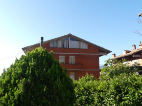 Amadeus Pinolo Gubbio